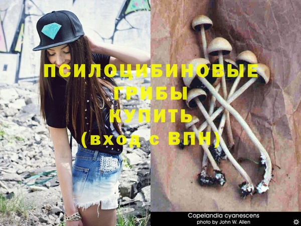 МДМА Нягань