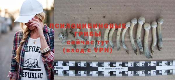 синтетический гашиш Няндома