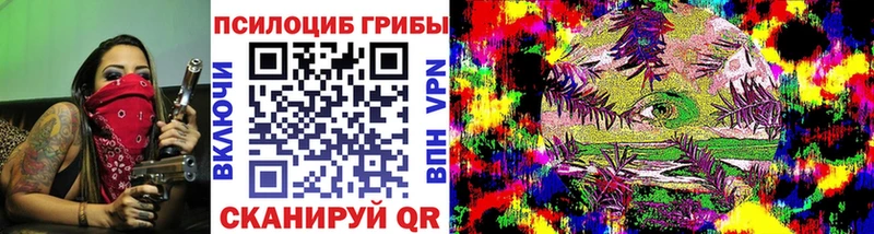 купить  сайты  Катайск  Псилоцибиновые грибы мицелий 